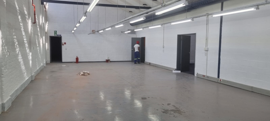 To Let commercial Property for Rent in Observatory Western Cape